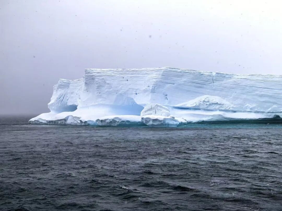 10万南极游行李消失：Atlas邮轮摆烂、企鹅环游隐身