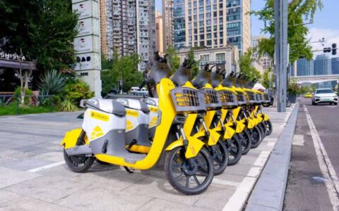 松果出行订单量下降与亏损之压：收入增长乏力，消费者投诉超4000条