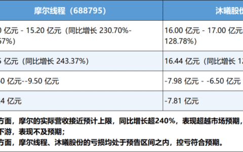 营收暴增240%超预期，摩尔线程仍耐心“筑墙积粮”