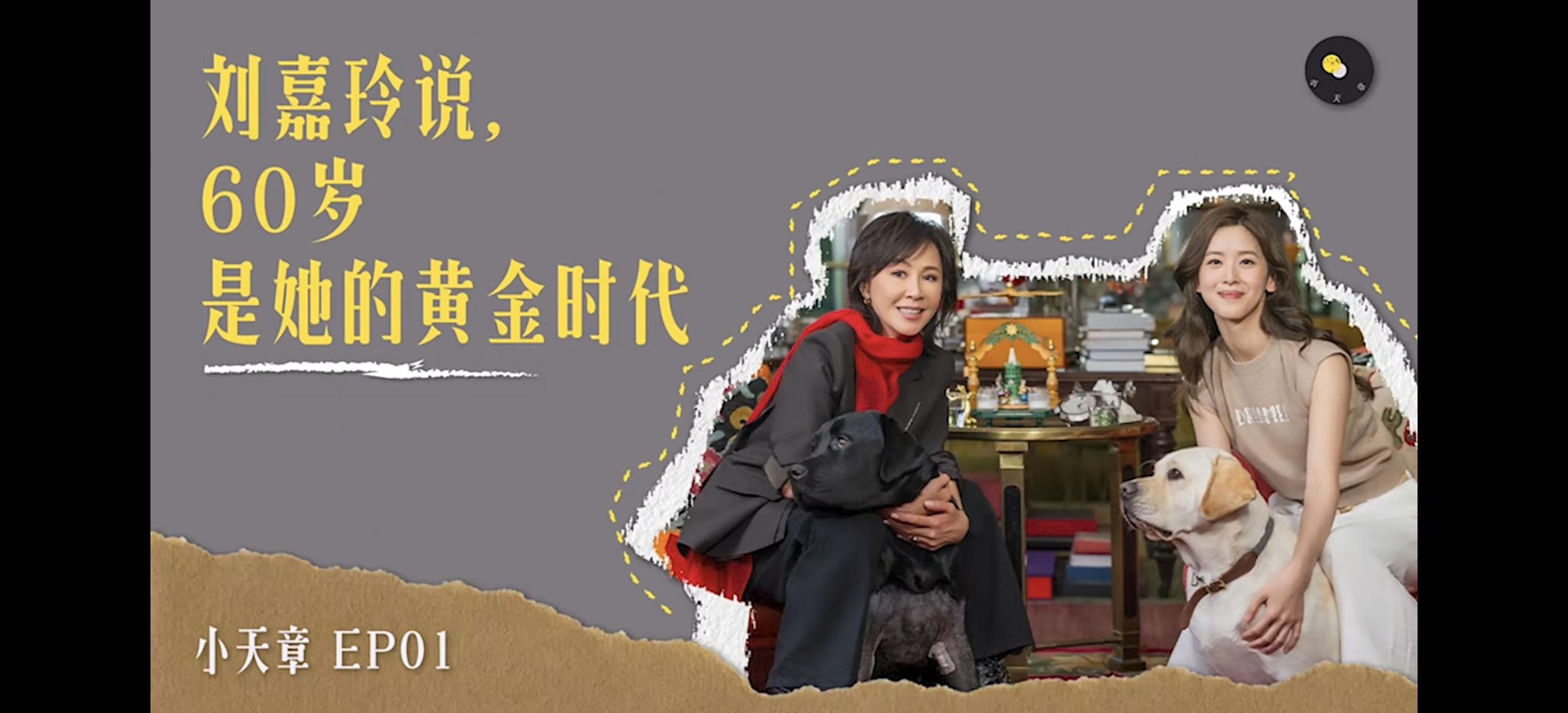 我被打脸了——被章泽天