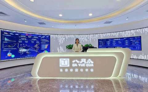 AI+知识产权大数据服务商八月瓜完成超4亿融资，数据赛道价值凸显｜产业家首发