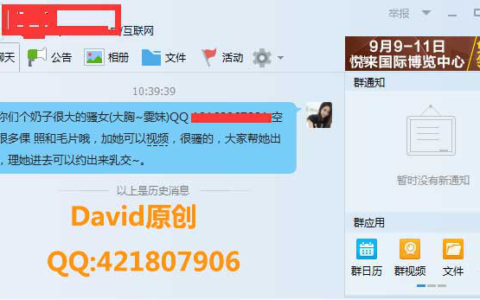 裂变引色流，最低收入30万，约啪灰色项目分享