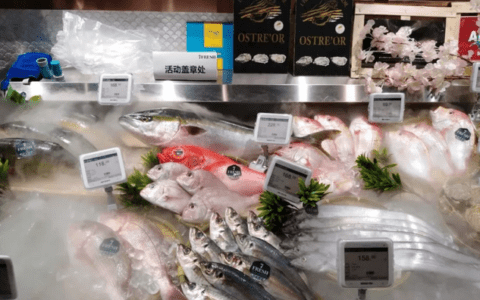 7FRESH总裁王笑松：第一步聚焦北京 做深做透