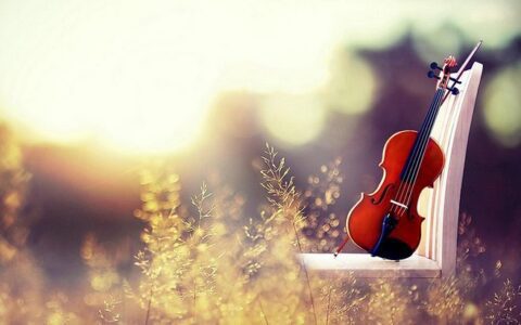 从PSF到PMF，再到PRF