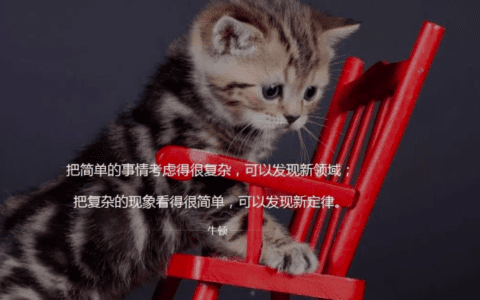 用另类视角看高大上的增长黑客