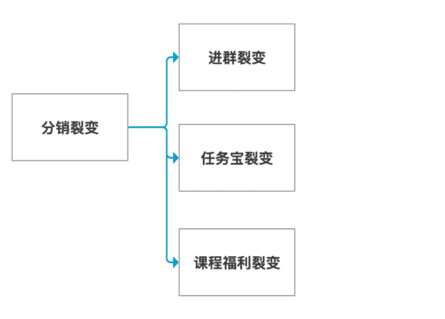 星星之火，可以燎原|”分阶段“裂变带来1周1万+垂直户