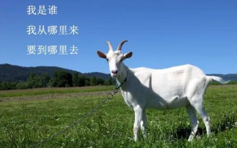 小红书回来后，我们聊聊电子商务法影响下的电商从业者