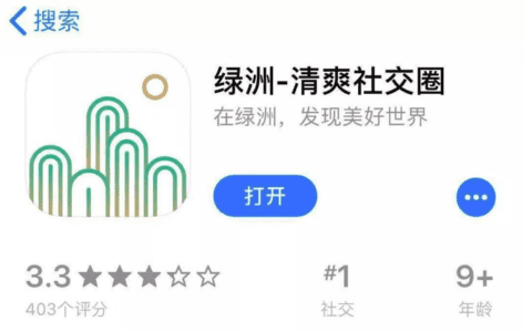 中国版Instagram,绿洲App能带微博突破困境吗?