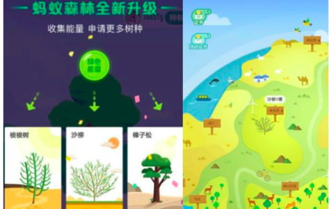 增长黑客丨分析蚂蚁森林对支付宝的增长价值