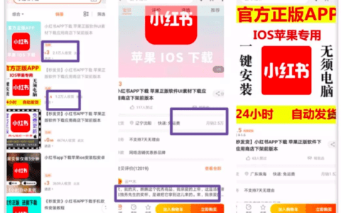 小红书上架，一场蹭流量闹剧的终结？
