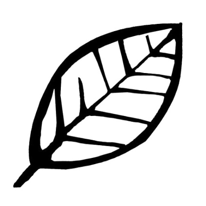 kongkongye的头像