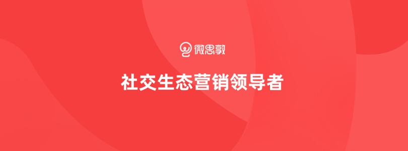 微思敦-社交生态营销领导者