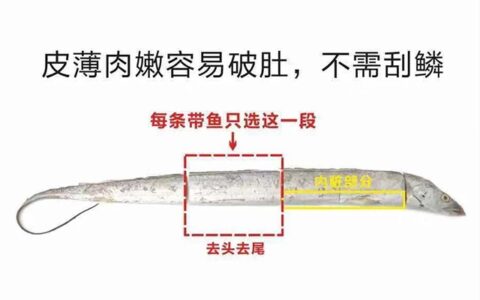 增长焦虑下的新流量洼地丨有好东西创始人陈郢