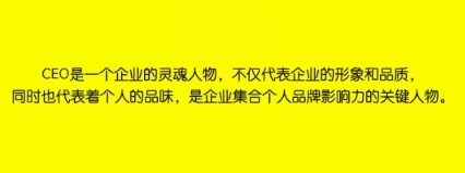 商业增长：塑造CEO的个人品牌12个方法论