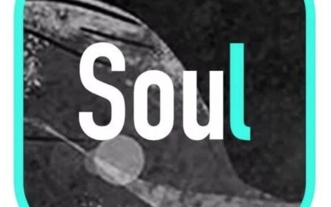 Soul如何让年轻人的“灵魂”心甘情愿的买单？