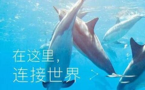 总结:新人怎么做头条/百家/大鱼/企鹅号