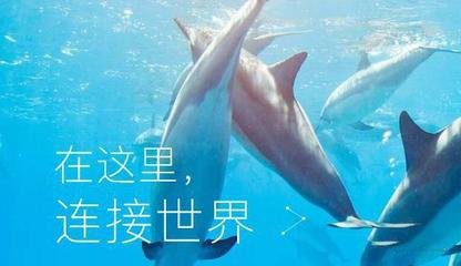 总结:新人怎么做头条/百家/大鱼/企鹅号