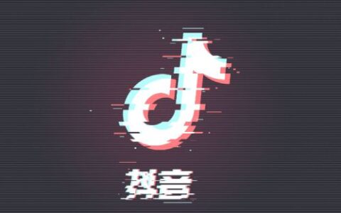 抖音上热门技术，卖货涨粉赚钱