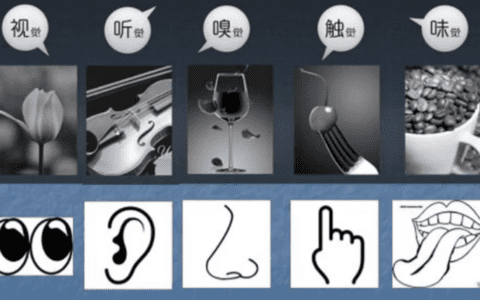 销量增加了29%，"气味营销"成为吸引顾客进店的"新"武器