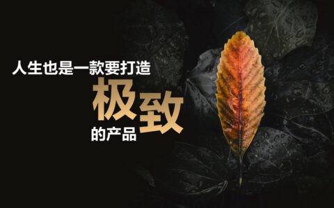 增长黑客如何在0成本投入下，10天内感染300万人以上的UV
