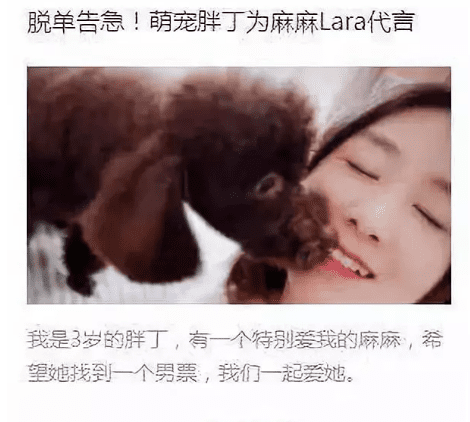 首席增长官告诉你如何0成本涨1万粉丝
