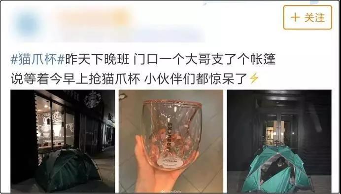 增长营销：网红猫爪杯让人大打出手，星巴克到底有什么魔力