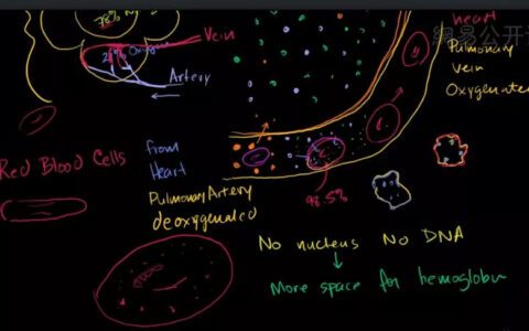 6大案例解读：互联网教育如何实现同质化竞争的突破，实现业绩增长
