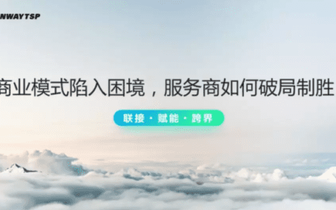 深圳成为总经理薛锷峰：商业模式陷入增长困境，服务商如何破局制胜