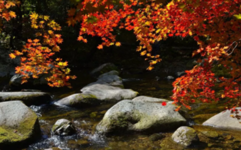 联商高级顾问团主任周勇：谈谈大陆首家Costco的商品力