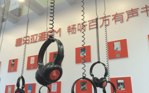 以喜马拉雅为例，首席增长官如何实现用户规模化增长