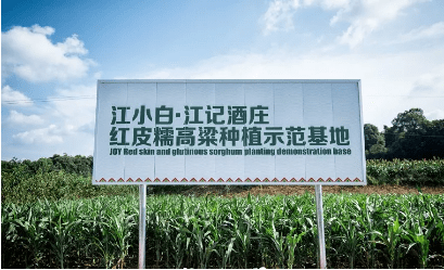 首席增长官：为何江小白的品牌营销会被全球潮流艺术家欣赏