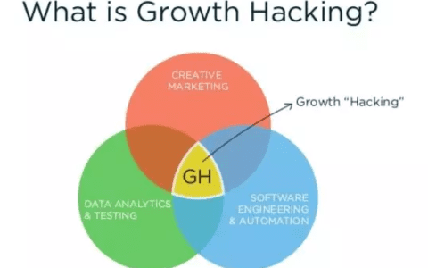 一文读懂未来的王牌职位——首席增长官