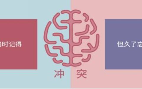 从“双种子”到“真功夫”，价值10亿的品牌名是如何炼成的？