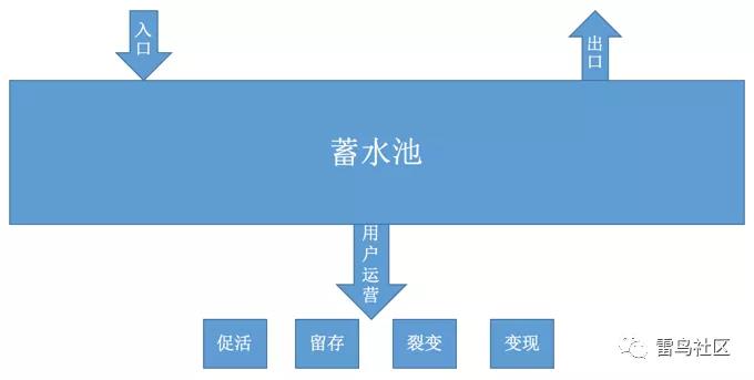用户增长：打造自己的流量池！