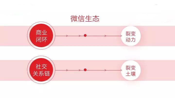 2019，微信到底、裂变到底、增长到底！