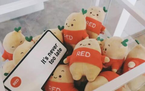 小红书新规:小红心能缓解小红书的信任危机吗