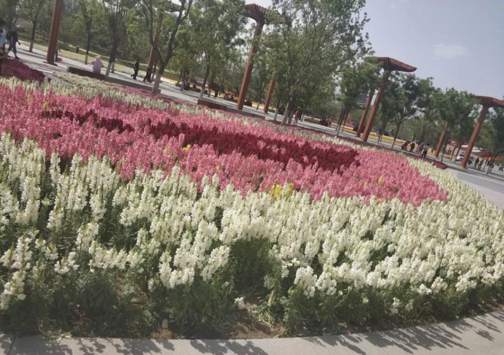 王智远：月预算15万的社交电商平台如何做新增