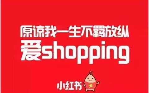 小红书KOL推广：爆款笔记的秘密