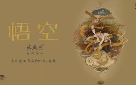王智远：六一品牌传播营销看华为「悟空」