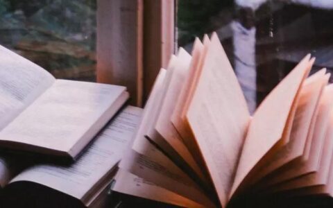 首席增长官:如何做好社群运营