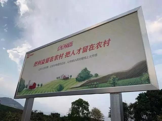 商业增长：不满4岁的拼多多，怎么会让天猫感到恐惧