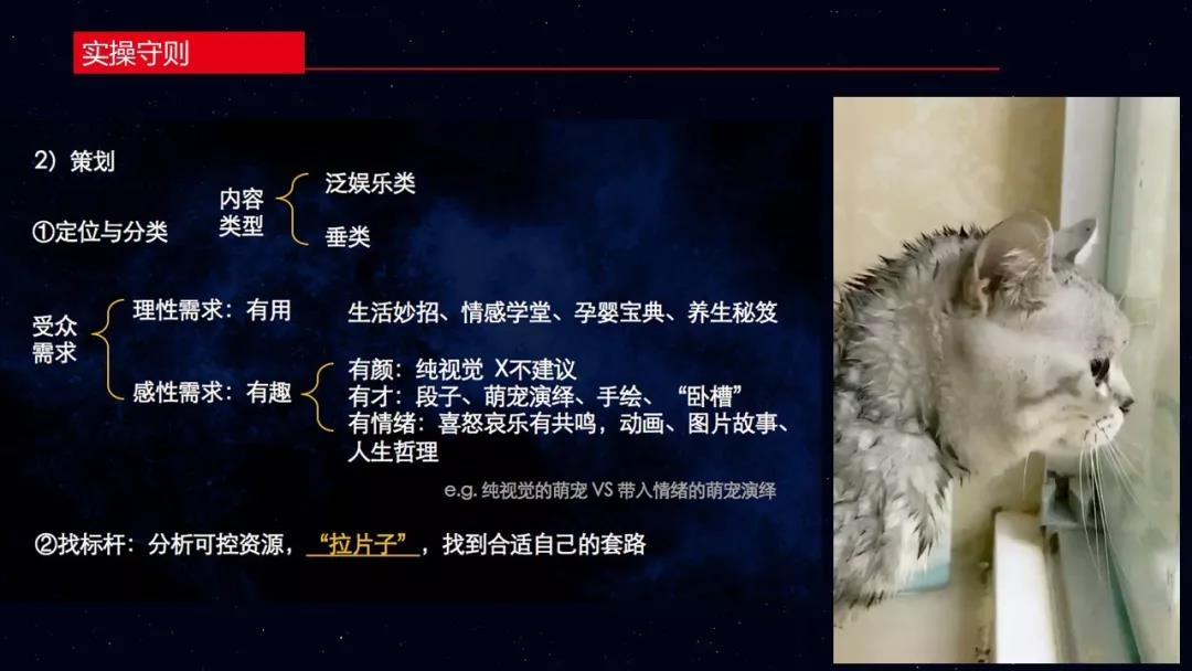 芒种·观点丨短视频流量池的打造和变现