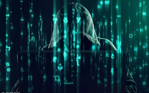 增长黑客：用户与收入指数级增长的秘方