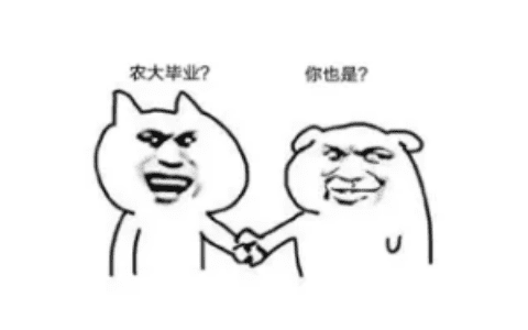 有没有发现这届互联网人都喜欢种树、喂鸡、养熊猫