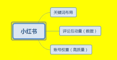 小红书：解密小红书排名热门机制