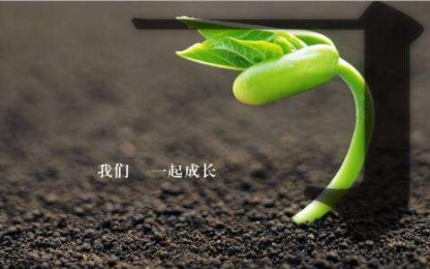 除了用户增长，首席增长官还应懂得用户成长