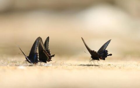 如何提高思维能力，洞悉事物本质？