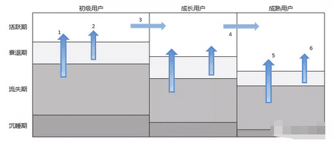 首席增长官：怎么搭建一套完整的运营增长体系