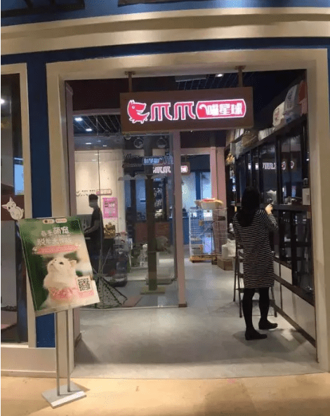 首席增长官告诉你如何0成本涨1万粉丝