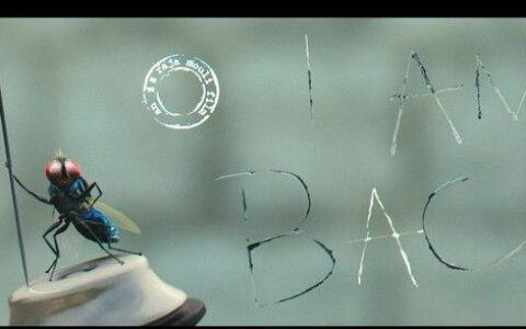 用完即走的小程序怎样提高用户粘性？